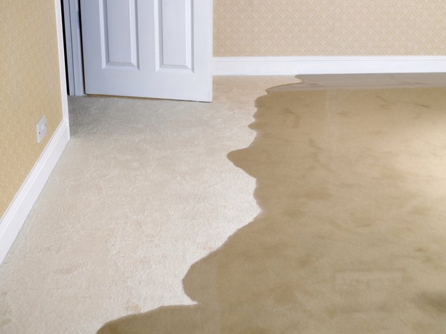 How To Clean Wet Carpets Hunker