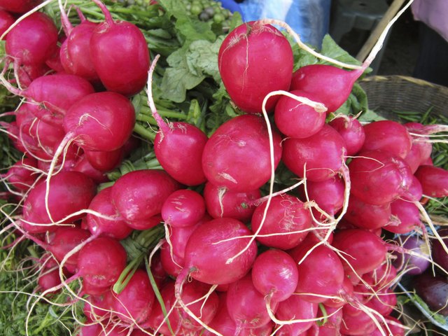 Mexican Food Market Radishes