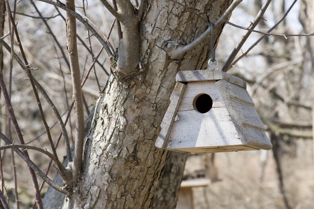 Bird House