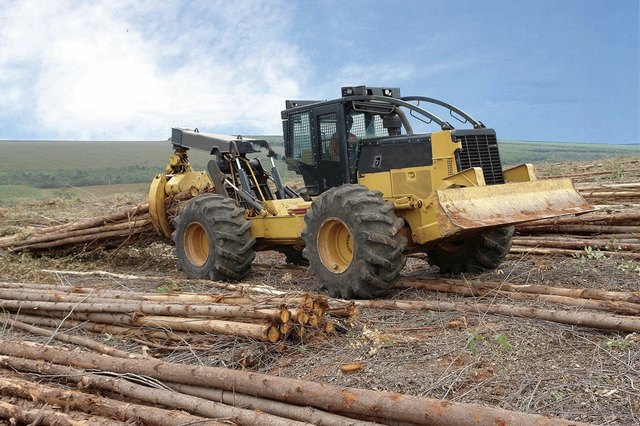 Skidder drags trunks of eucalyptus trees to the edge of the field