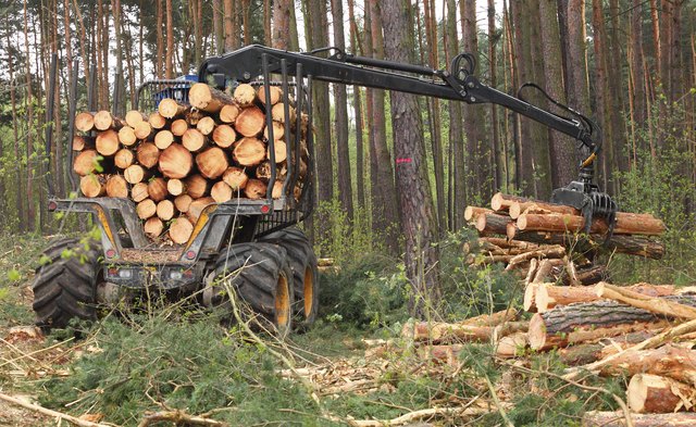 The harvester working in a forest.