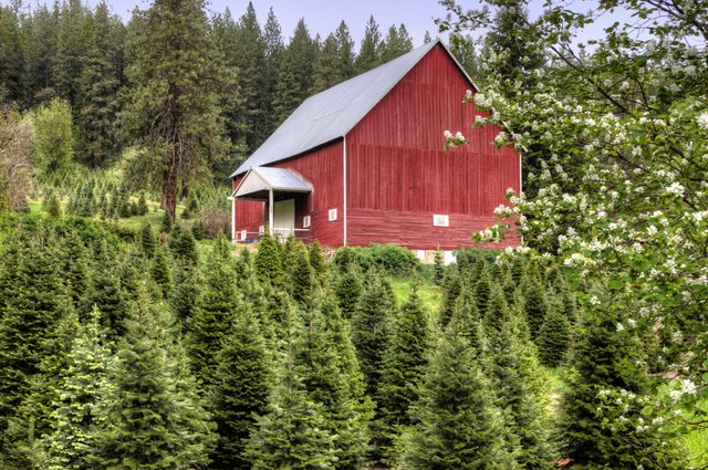 Red barn and green trees.
