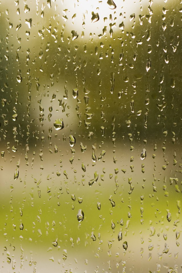 Rain on window