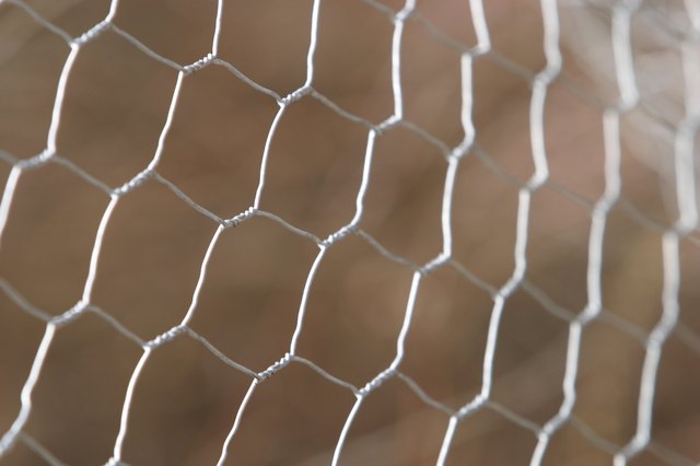 Chicken wire fence