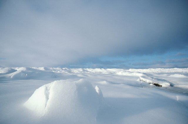 Arctic landscape