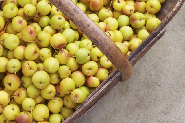 Crab Apples In Wooden Basket