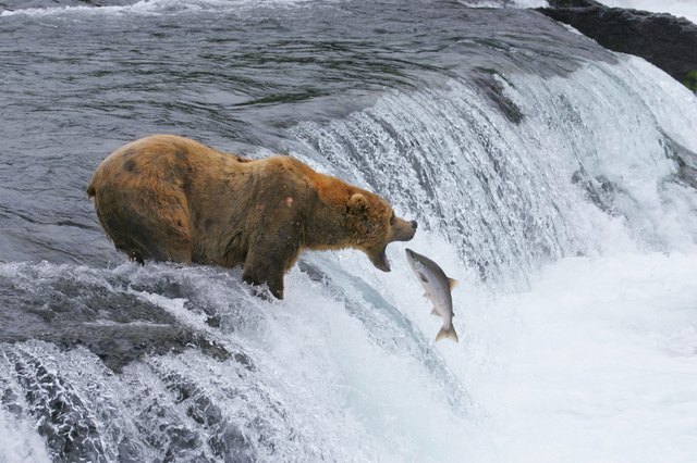 Lunch Time