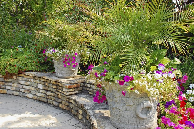Summer patio garden