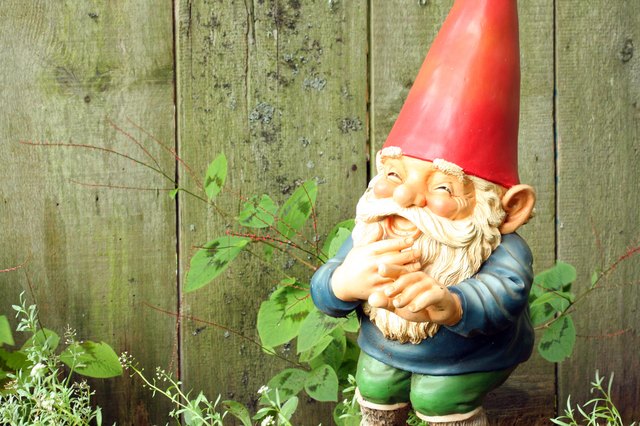 Garden Gnome Laughing
