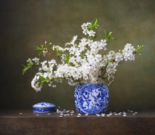 Still life with bouquet of cherry blossoms