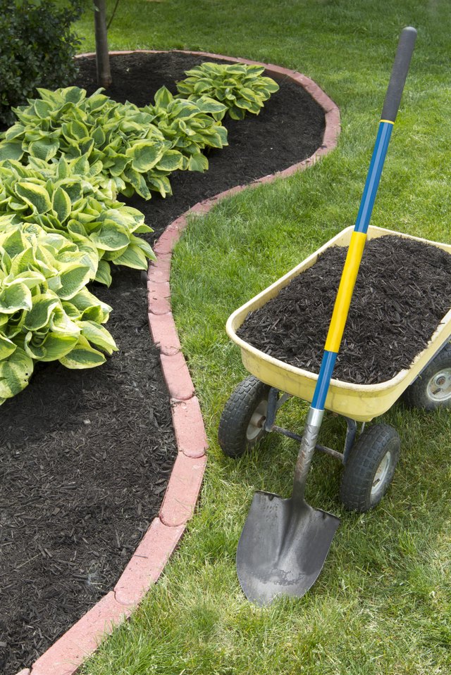 How To Keep Birds From Eating Grass Seeds Hunker Lay Down Mulch