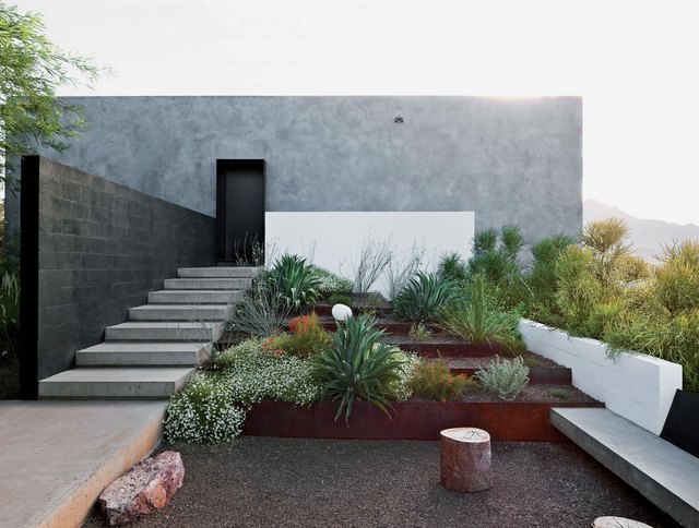 Desert Plants To Use When Landscaping, Modern Desert Landscape Backyard Ideas