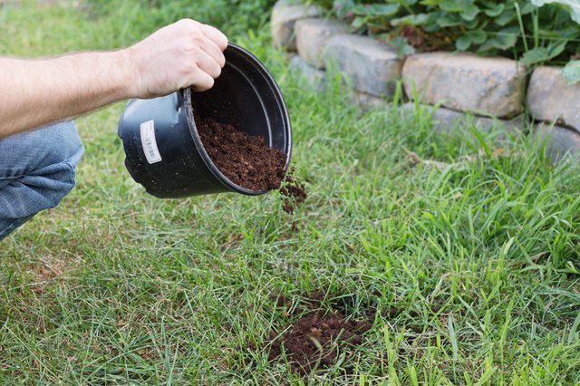 Can I Add Topsoil To An Existing Lawn Hunker   5a5aec58 D19c 461f 9632 Ceb74dfab2e2 