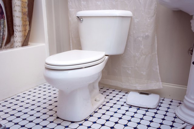 how-to-empty-a-toilet-bowl-hunker