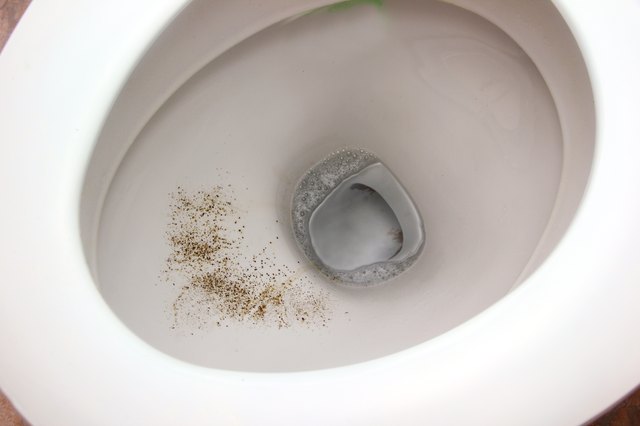 How To Clean That Nasty Toilet Bowl Black Stain Hunker