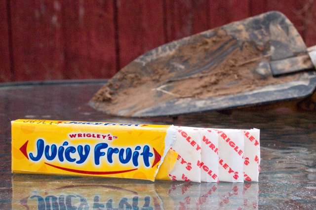 How to Kill Moles With Juicy Fruit Gum | Hunker