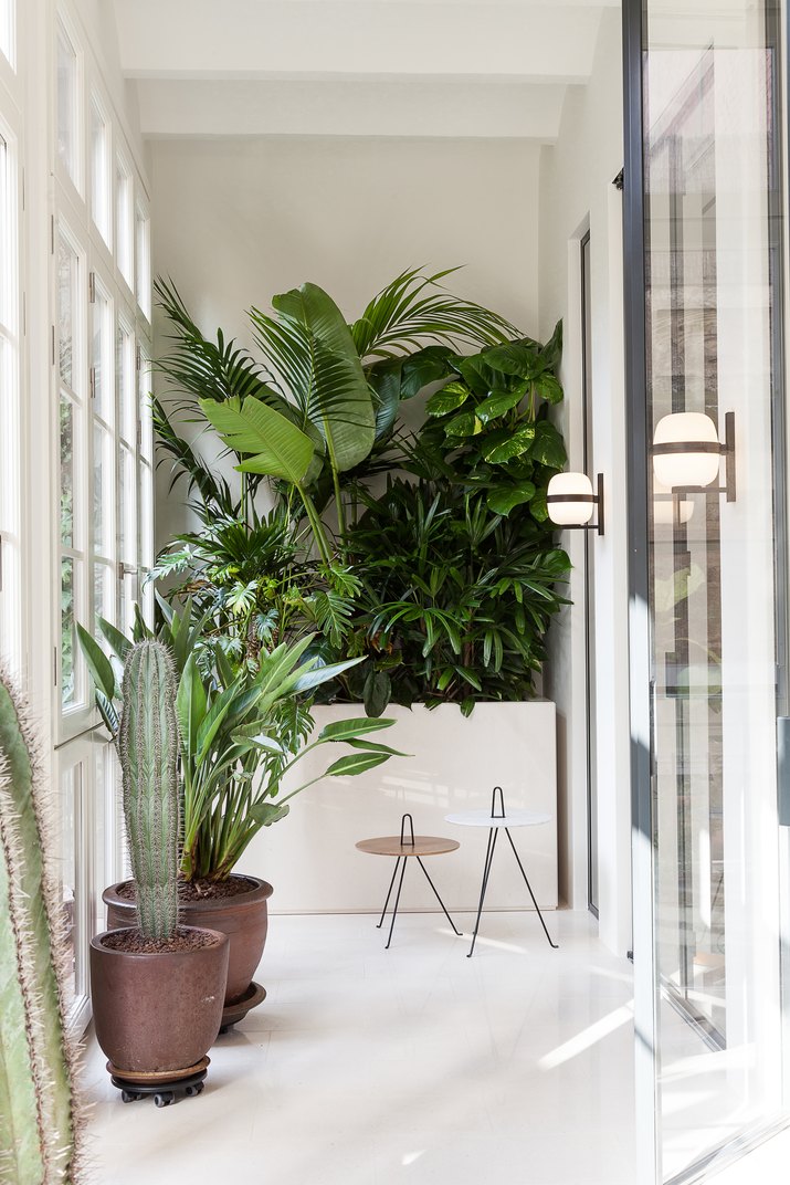 white hallway with plants