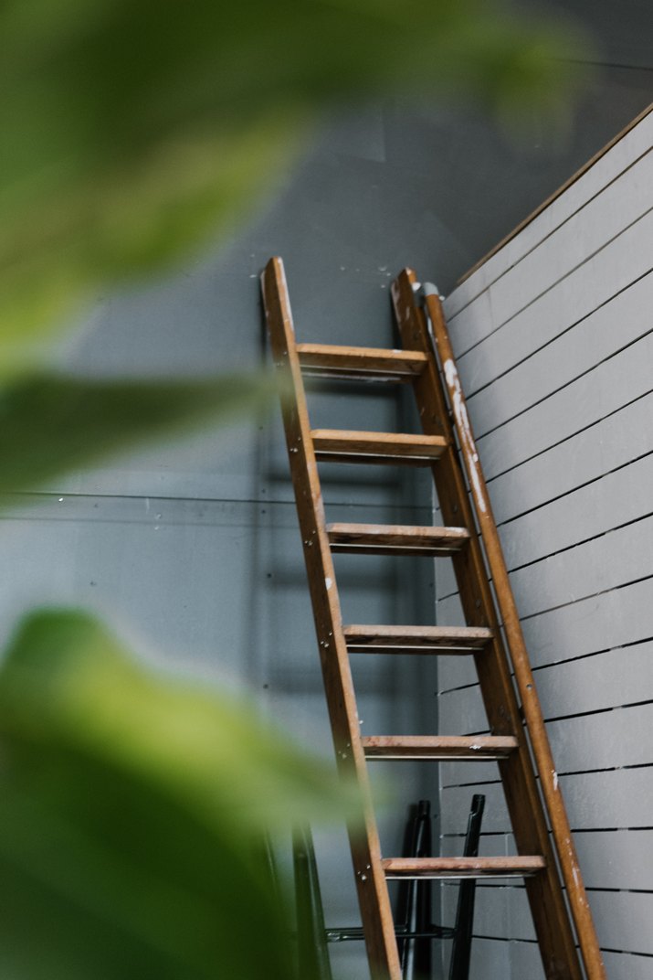 Library ladder