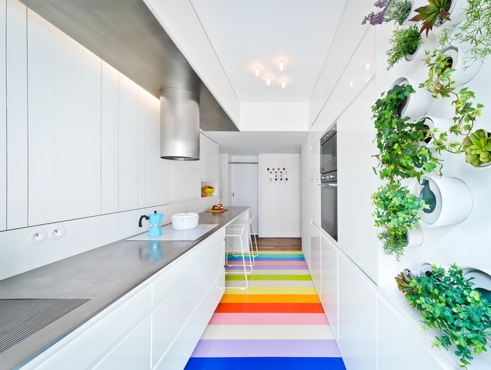 modern white kitchen with hydroponic vertical garden and rainbow floor