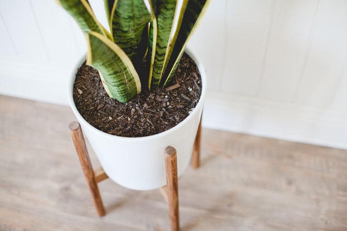 Mid-century inspired plant stand that will save you some cash