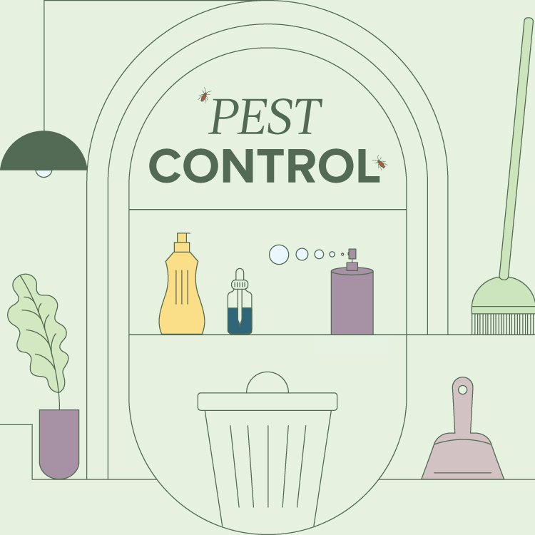 pest control hub