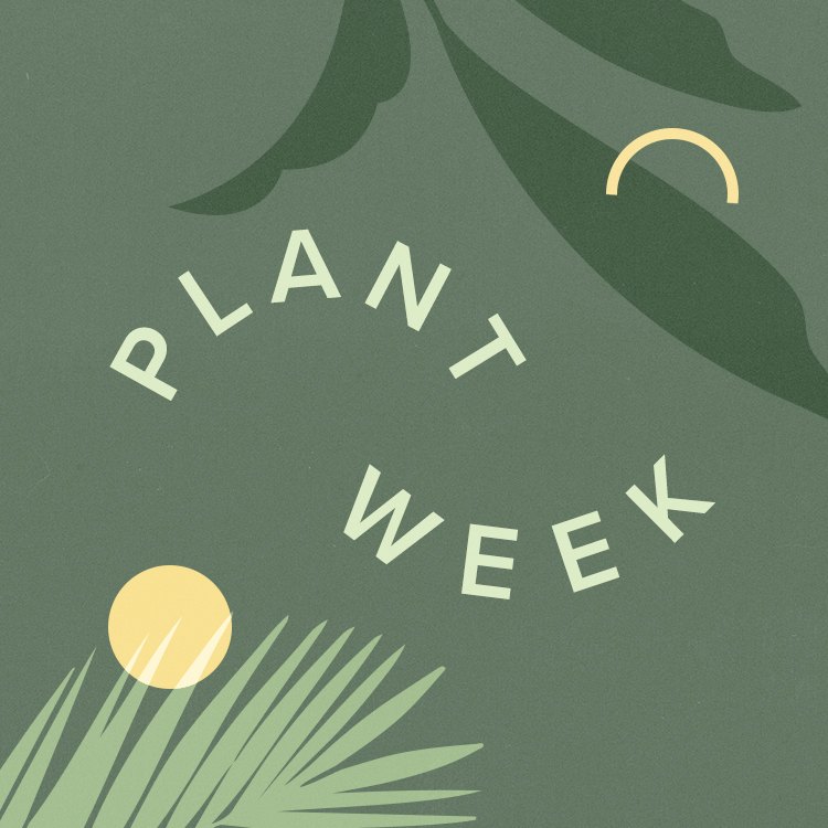 Hunker Plant Week